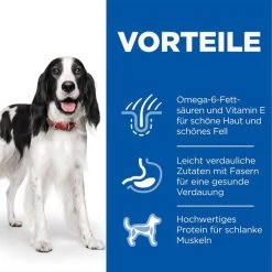 Hill's Science Plan Hund Medium Adult Huhn 9 Hill's Science Plan Hund Medium Adult Huhn -Haustierzubehör hills science plan hund medium adult huhn web 4