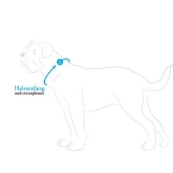 Hunter Halsung Divo Grau 15 Hunter Halsung Divo Grau -Haustierzubehör hunter halsumfang608ac69f38e72