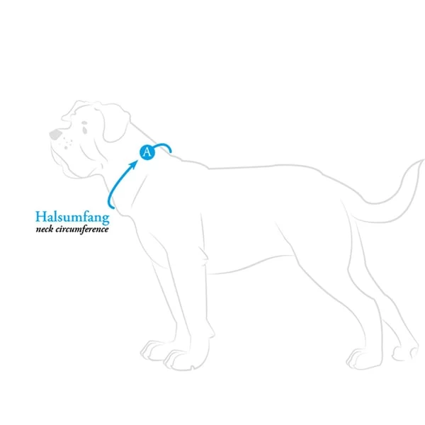 Hunter Halsung Divo Grau 8 Hunter Halsung Divo Grau – Bild 8