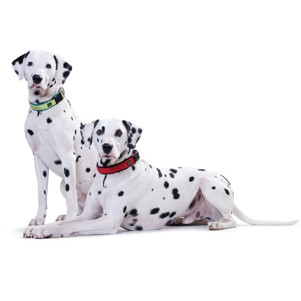 Hunter Neopren Vario Plus Halsung Rot/schwarz 3 Hunter Neopren Vario Plus Halsung Rot/schwarz – Bild 3