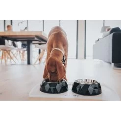 Hunter Napfunterlage Selection Transparent -Haustierzubehör hunter selection napfunterlage 2 stck transparent 3