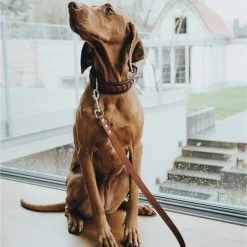 Hunter Verstellbare Führleine Aalborg Cognac -Haustierzubehör hunter verstellbare fuehrleine aalborg608abf59cd7b7