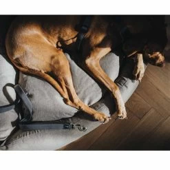 Hunter Verstellbare Führleine Divo Grau -Haustierzubehör hunter verstellbare fuehrleine divo grau 3