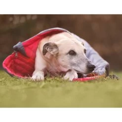 IEnergy JUL Schlafsack Für Hunde 11 IEnergy JUL Schlafsack Für Hunde -Haustierzubehör ienergy schlafsack jul 5