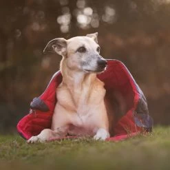 IEnergy JUL Schlafsack Für Hunde 12 IEnergy JUL Schlafsack Für Hunde -Haustierzubehör ienergy schlafsack jul 6