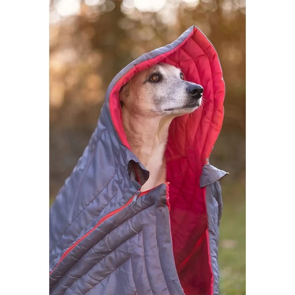 IEnergy JUL Schlafsack Für Hunde 7 IEnergy JUL Schlafsack Für Hunde – Bild 7