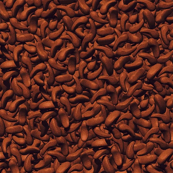 JBL ProPond Shrimp Snack Für Koi 1,0 Kg 3 JBL ProPond Shrimp Snack Für Koi 1,0 Kg – Bild 3