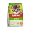 Mera Cat Kitten Huhn