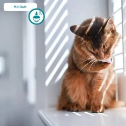 ZooRoyal Tigrooo Multi-Cat -Haustierzubehör multicat 7