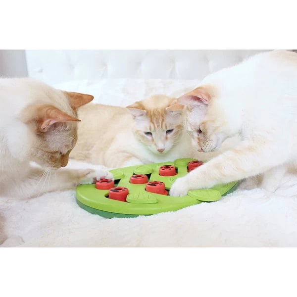 Nina Ottosson Puzzle & Play Buggin Out Intelligenzspielzeug 7 Nina Ottosson Puzzle & Play Buggin Out Intelligenzspielzeug – Bild 7