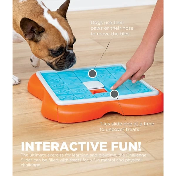 Nina Ottosson Challenge Slider Intelligenzspielzeug 2 Nina Ottosson Challenge Slider Intelligenzspielzeug – Bild 2