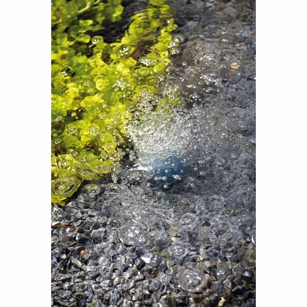 Oase AquaOxy Teichbelüfter 3 Oase AquaOxy Teichbelüfter – Bild 3