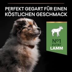 PRO PLAN Medium Puppy Sensitive Digestion Lamm -Haustierzubehör pro plan medium puppy sensitive digestion lamm 4