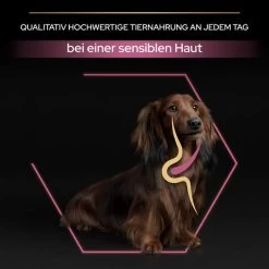 PRO PLAN Small & Mini Adult Sensitive Skin Lachs -Haustierzubehör pro plan small und mini adult sensitive skin lachs 6