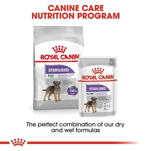 ROYAL CANIN STERILISED MINI 8kg + STERILISED Mousse 12x85g 1 ROYAL CANIN STERILISED MINI 8kg + STERILISED Mousse 12x85g