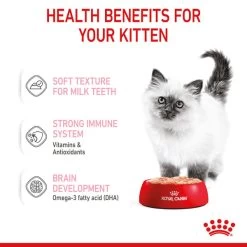 ROYAL CANIN KITTEN Nassfutter In Mousse Für Kätzchen -Haustierzubehör royal canin kitten nassfutter in mousse fur katzchen 4