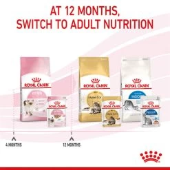 ROYAL CANIN KITTEN Nassfutter In Mousse Für Kätzchen -Haustierzubehör royal canin kitten nassfutter in mousse fur katzchen 8