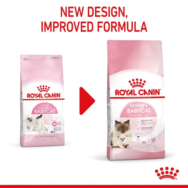 ROYAL CANIN MOTHER & BABYCAT Katzenfutter Für Tragende Katzen Und Kitten 2 ROYAL CANIN MOTHER & BABYCAT Katzenfutter Für Tragende Katzen Und Kitten – Bild 2