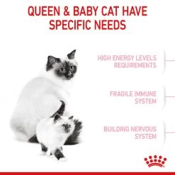ROYAL CANIN MOTHER & BABYCAT Katzenfutter Für Tragende Katzen Und Kitten 13 ROYAL CANIN MOTHER & BABYCAT Katzenfutter Für Tragende Katzen Und Kitten -Haustierzubehör royal canin mother und babycat fur tragende katzen und kitten 3