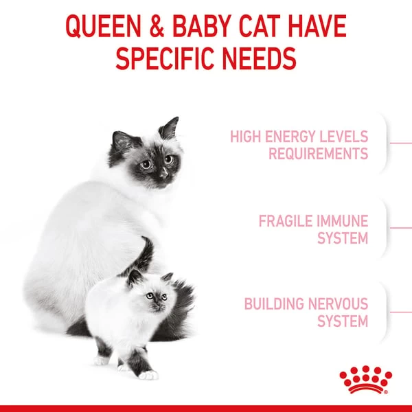 ROYAL CANIN MOTHER & BABYCAT Katzenfutter Für Tragende Katzen Und Kitten 3 ROYAL CANIN MOTHER & BABYCAT Katzenfutter Für Tragende Katzen Und Kitten – Bild 3