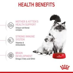 ROYAL CANIN MOTHER & BABYCAT Katzenfutter Für Tragende Katzen Und Kitten 14 ROYAL CANIN MOTHER & BABYCAT Katzenfutter Für Tragende Katzen Und Kitten -Haustierzubehör royal canin mother und babycat fur tragende katzen und kitten 4