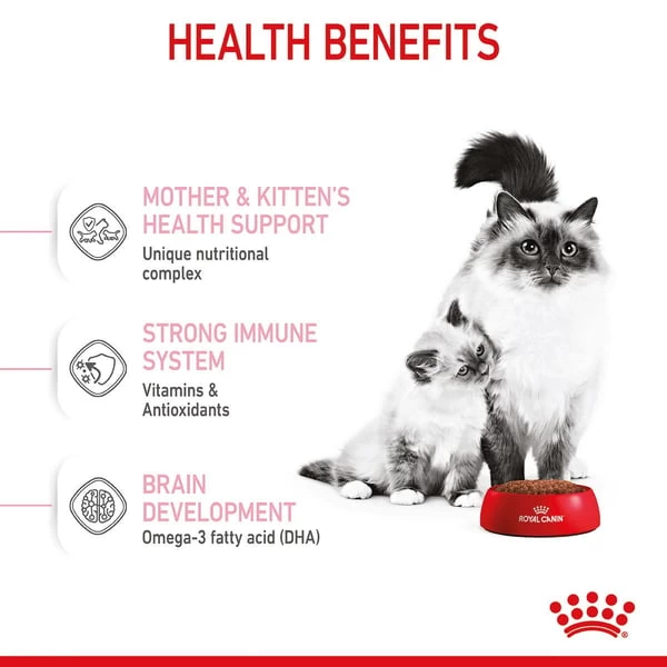 ROYAL CANIN MOTHER & BABYCAT Katzenfutter Für Tragende Katzen Und Kitten 4 ROYAL CANIN MOTHER & BABYCAT Katzenfutter Für Tragende Katzen Und Kitten – Bild 4