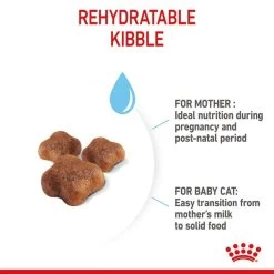 ROYAL CANIN MOTHER & BABYCAT Katzenfutter Für Tragende Katzen Und Kitten 15 ROYAL CANIN MOTHER & BABYCAT Katzenfutter Für Tragende Katzen Und Kitten -Haustierzubehör royal canin mother und babycat fur tragende katzen und kitten 5