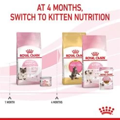ROYAL CANIN MOTHER & BABYCAT Katzenfutter Für Tragende Katzen Und Kitten 16 ROYAL CANIN MOTHER & BABYCAT Katzenfutter Für Tragende Katzen Und Kitten -Haustierzubehör royal canin mother und babycat fur tragende katzen und kitten 6