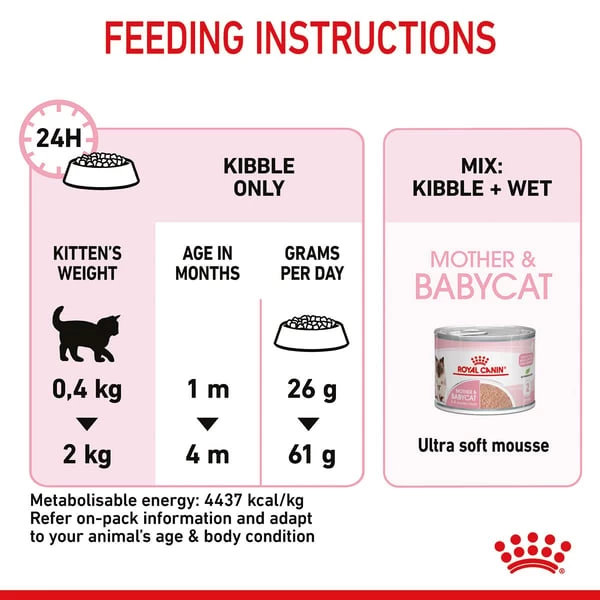 ROYAL CANIN MOTHER & BABYCAT Katzenfutter Für Tragende Katzen Und Kitten 8 ROYAL CANIN MOTHER & BABYCAT Katzenfutter Für Tragende Katzen Und Kitten – Bild 8