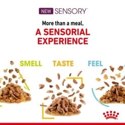 Royal Canin Sensory Taste Gravy 10 Royal Canin Sensory Taste Gravy -Haustierzubehör royal canin sensory taste gravy 3S4Dm89KcyZN6P