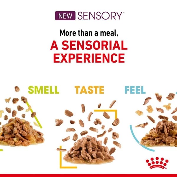 Royal Canin Sensory Taste Gravy 3 Royal Canin Sensory Taste Gravy – Bild 3