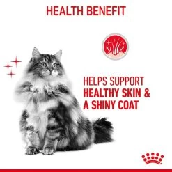 Royal Canin FCN Hair & Skin Jelly 15 Royal Canin FCN Hair & Skin Jelly -Haustierzubehör royal canin hair skin care jelly web 4