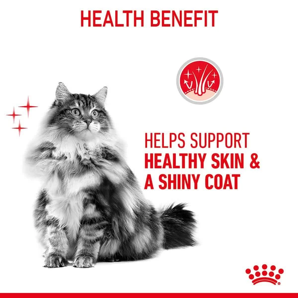 Royal Canin FCN Hair & Skin Jelly 4 Royal Canin FCN Hair & Skin Jelly – Bild 4