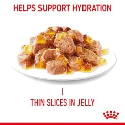 Royal Canin FCN Hair & Skin Jelly 16 Royal Canin FCN Hair & Skin Jelly -Haustierzubehör royal canin hair skin care jelly web 5