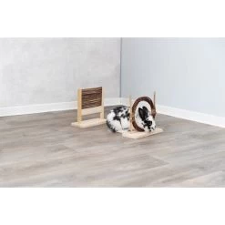 Trixie Kaninchen Agility-Set Mit Hürde Und Ring 9 Trixie Kaninchen Agility-Set Mit Hürde Und Ring -Haustierzubehör trixie kaninchen agility set 5