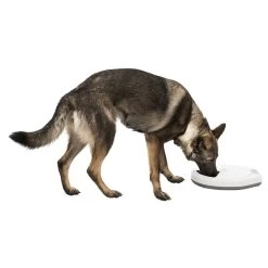 Trixie Futterautomat TX5 -Haustierzubehör trixie tx5 futterautomat hund frisst