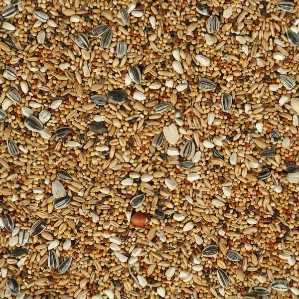 VERSELE-LAGA Versele Laga Vogelfutter Großsittiche 2 VERSELE-LAGA Versele Laga Vogelfutter Großsittiche – Bild 2