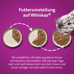 Whiskas Multipack 1+ Klassische Auswahl In Sauce 40x85g -Haustierzubehör whiskas multipack 1plus klassische auswahl in sauce 40x85g 4