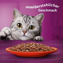 Whiskas Multipack 1+ Klassische Auswahl In Sauce 40x85g -Haustierzubehör whiskas multipack 1plus klassische auswahl in sauce 40x85g 6