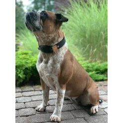 WowWow Professional Halsband Blau 20 WowWow Professional Halsband Blau -Haustierzubehör wowwow halsband alle 3