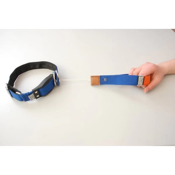 WowWow Professional Halsband Blau 12 WowWow Professional Halsband Blau – Bild 12