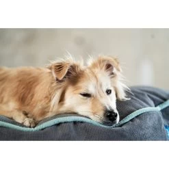 ZooRoyal Hundekissen Elias Anthrazit -Haustierzubehör zooroyal hundekissen elias anthrazit 3