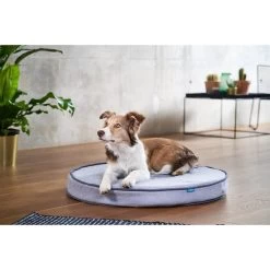 ZooRoyal Orthopädisches Hundekissen Elias Rund Grau 16 ZooRoyal Orthopädisches Hundekissen Elias Rund Grau -Haustierzubehör zooroyal hundekissen elias rund grau 5