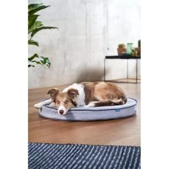 ZooRoyal Orthopädisches Hundekissen Elias Rund Grau 18 ZooRoyal Orthopädisches Hundekissen Elias Rund Grau -Haustierzubehör zooroyal hundekissen elias rund grau 7