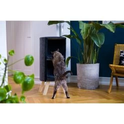 ZooRoyal Kratztonne Ava 85cm Filz Anthrazit 17 ZooRoyal Kratztonne Ava 85cm Filz Anthrazit -Haustierzubehör zooroyal kratztonne ava 7