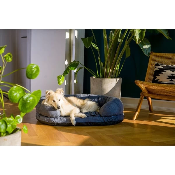 ZooRoyal Orthopädisches Hundebett Lasse 5 ZooRoyal Orthopädisches Hundebett Lasse – Bild 5