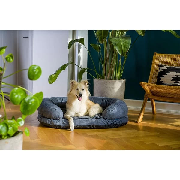 ZooRoyal Orthopädisches Hundebett Lasse 6 ZooRoyal Orthopädisches Hundebett Lasse – Bild 6