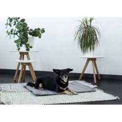 ZooRoyal Reisedecke Sam 75x60cm -Haustierzubehör zooroyal reisedecke sam dunkelgrau 3