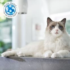 ZooRoyal Tigrooo Blue Magic -Haustierzubehör zooroyal tigrooo blue magic neu 3