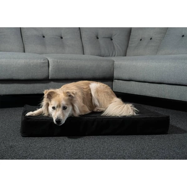 ZooRoyal Orthopädisches Premium Hundekissen Luna 6 ZooRoyal Orthopädisches Premium Hundekissen Luna – Bild 6